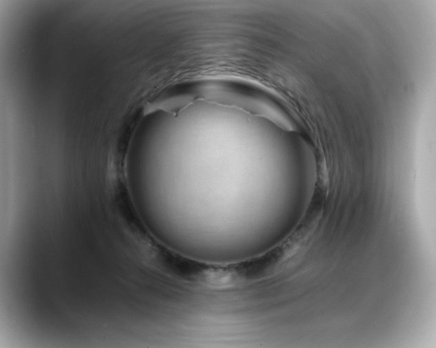 X0000088700272200705311220