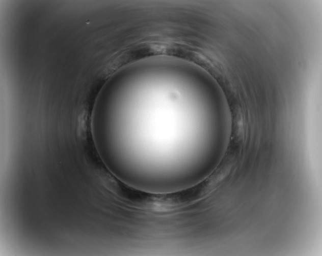 X0000088700275200705311220