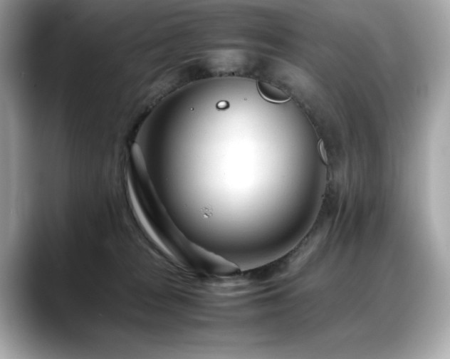 X0000088700277200705311220
