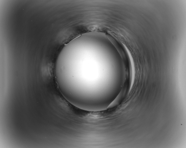X0000088700280200705311220