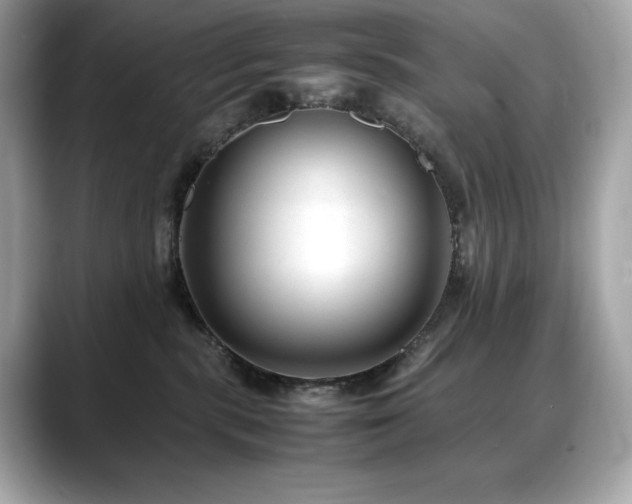 X0000088700283200705311220