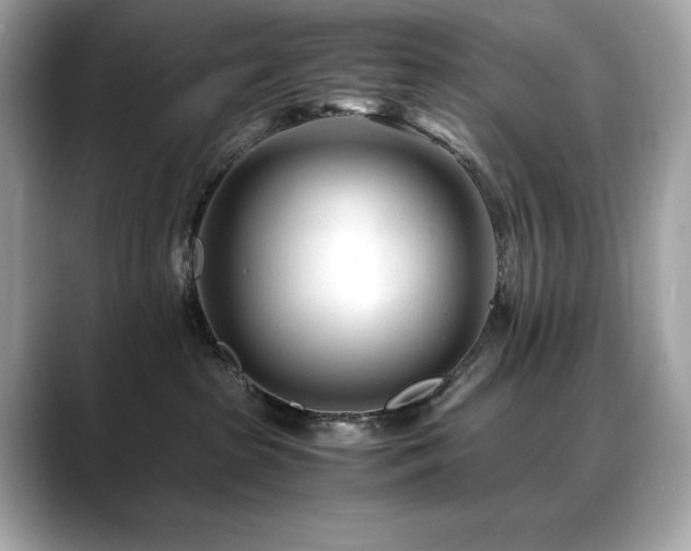 X0000088700285200705311220