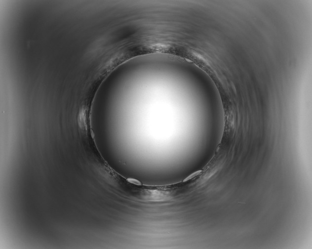 X0000088700286200705311220