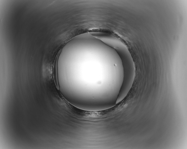 X0000088700288200705311220