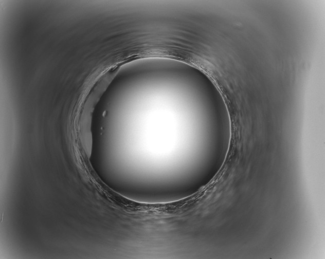 X0000088700289200705311220
