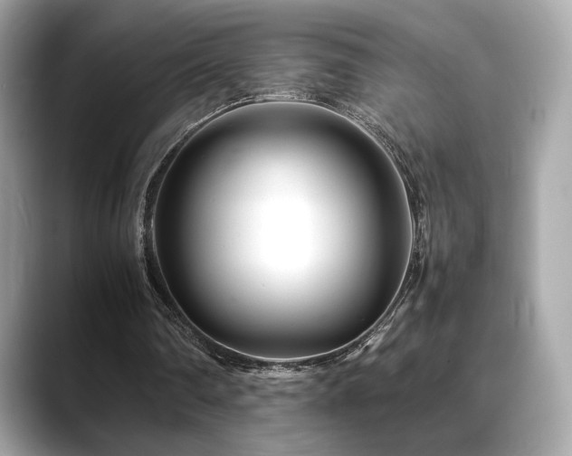 X0000088700290200705311220