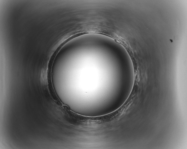 X0000088700292200705311220