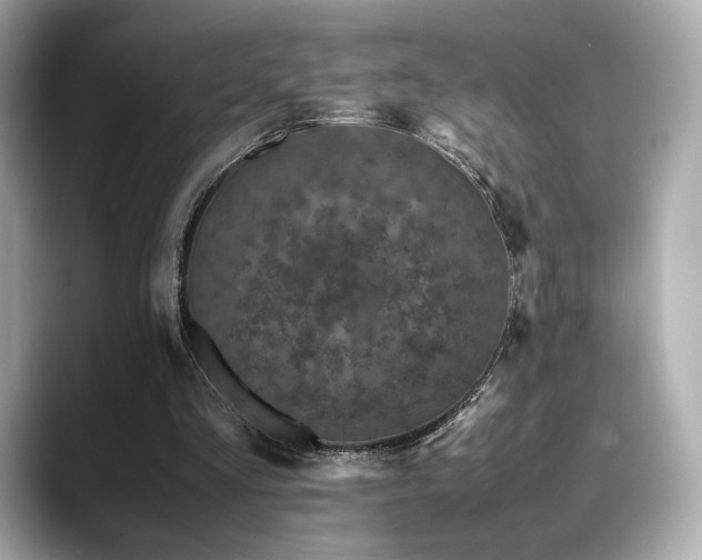 X0000088700293200705311220