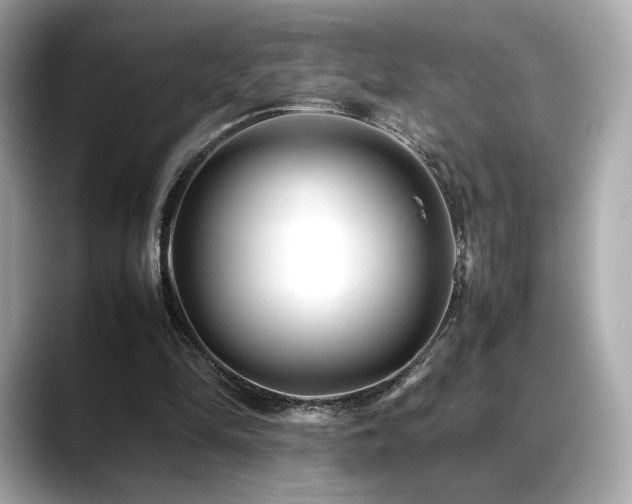 X0000088700294200705311220