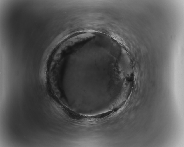 X0000088700295200705311220