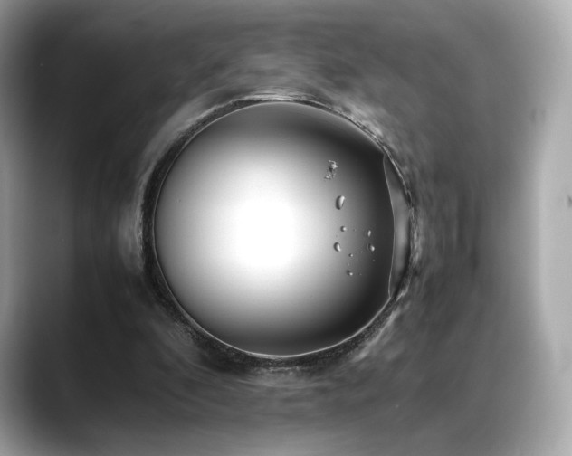 X0000088700296200705311220