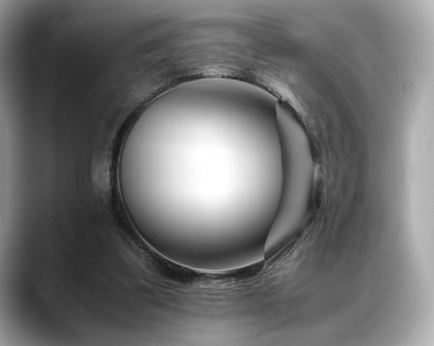 X0000088700299200705311220