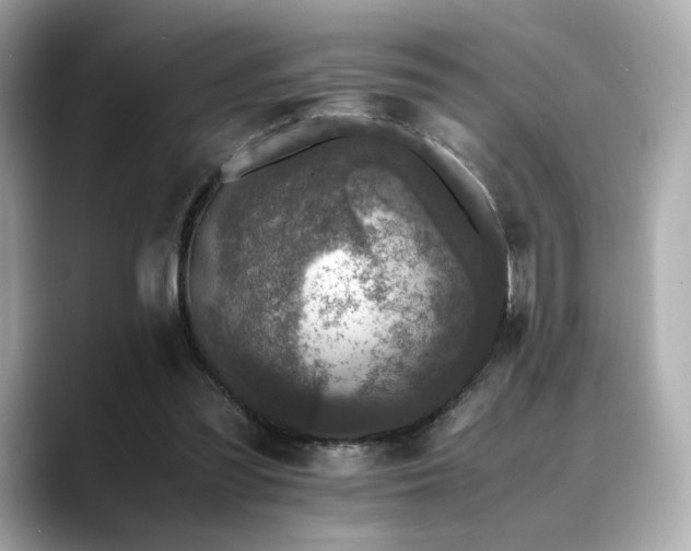 X0000088700301200705311220