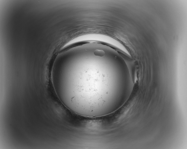 X0000088700303200705311220