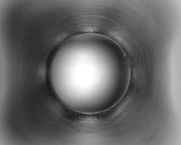 X0000088700304200705311220
