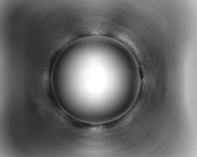 X0000088700306200705311220
