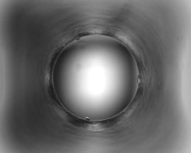 X0000088700309200705311220