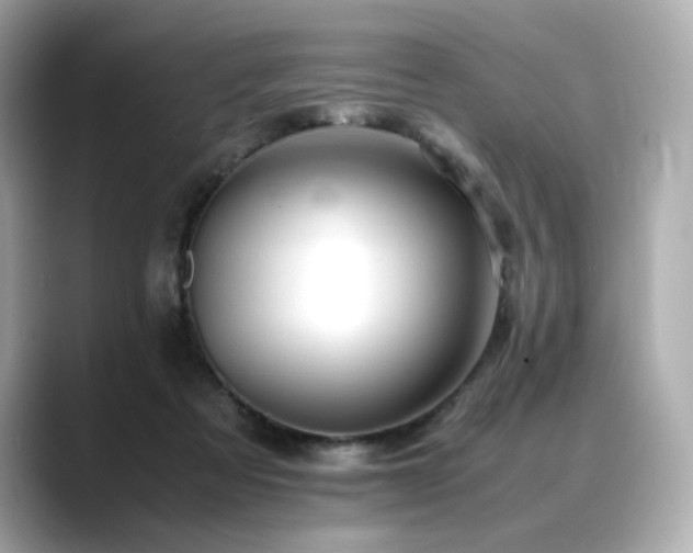 X0000088700313200705311220
