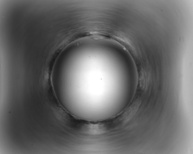 X0000088700314200705311220