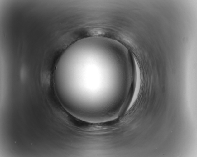 X0000088700315200705311220