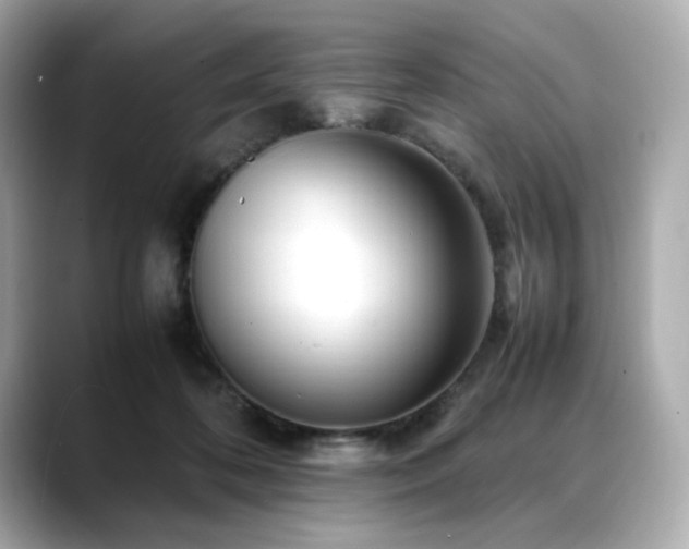 X0000088700316200705311220