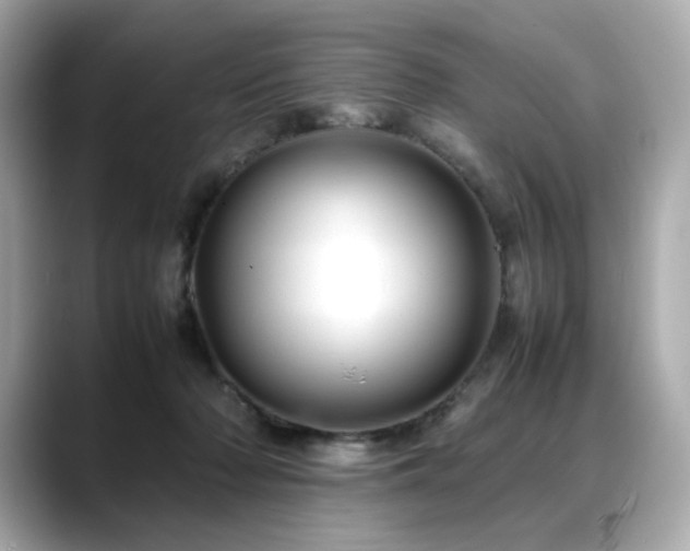 X0000088700318200705311220