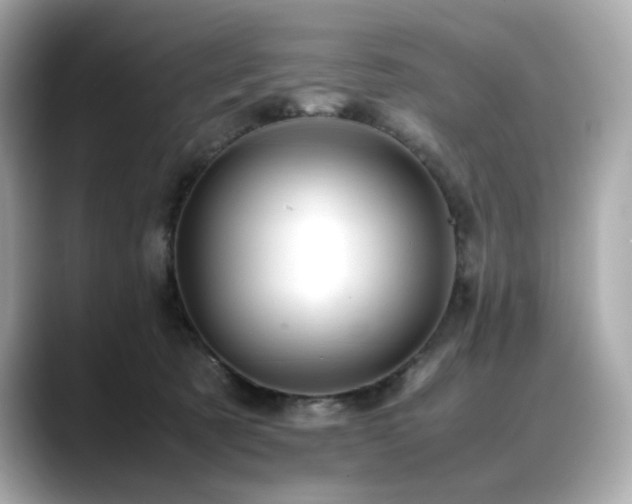 X0000088700321200705311220