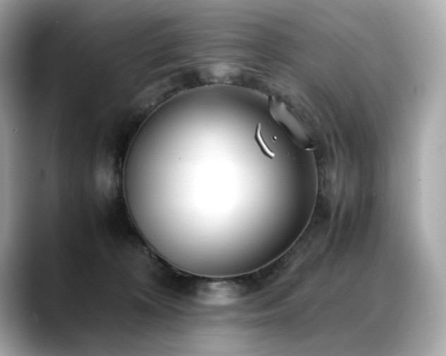 X0000088700324200705311219