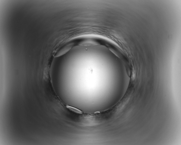 X0000088700325200705311219