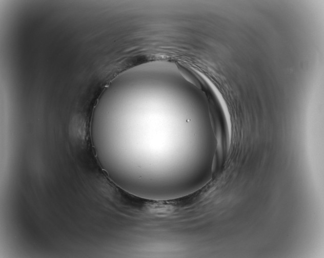 X0000088700331200705311219