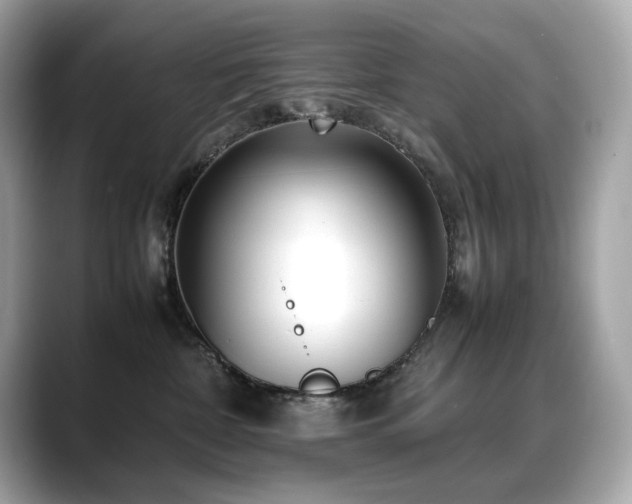 X0000088700332200705311219