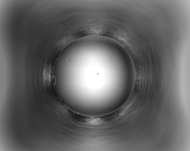 X0000088700334200705311219
