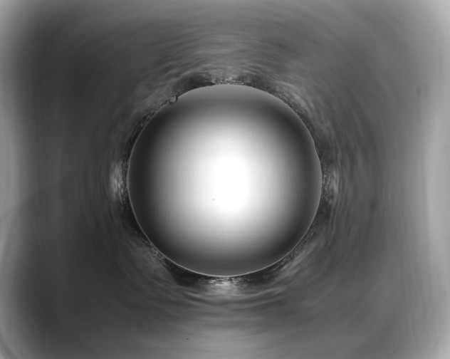 X0000088700335200705311219