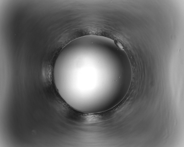 X0000088700336200705311219