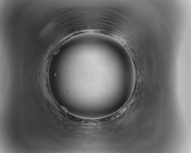 X0000088700337200705311219