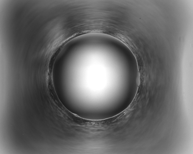 X0000088700338200705311219