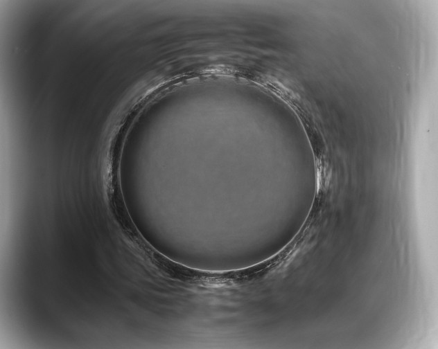 X0000088700339200705311219