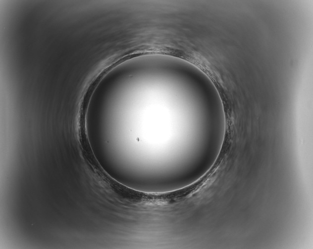 X0000088700340200705311219