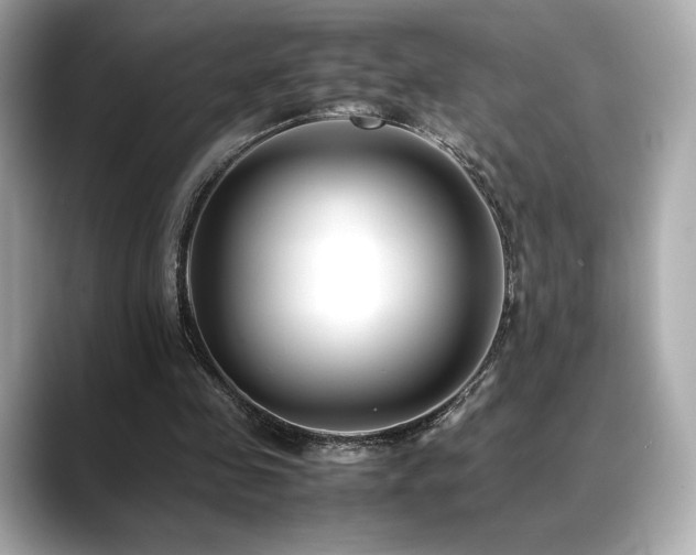 X0000088700341200705311219