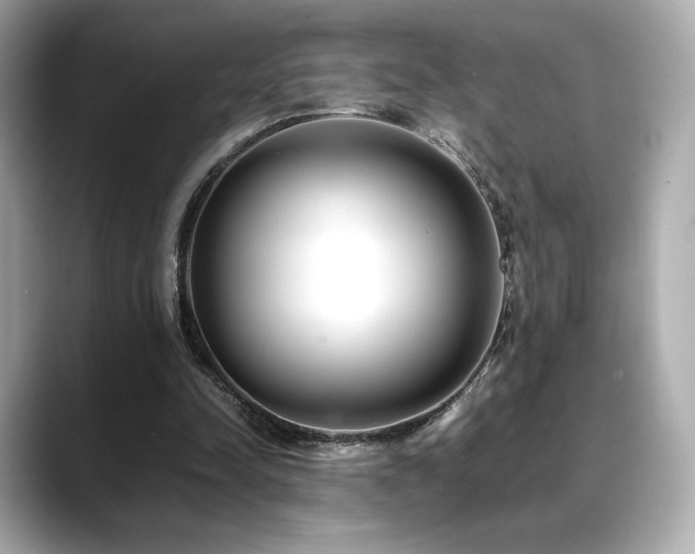 X0000088700342200705311219