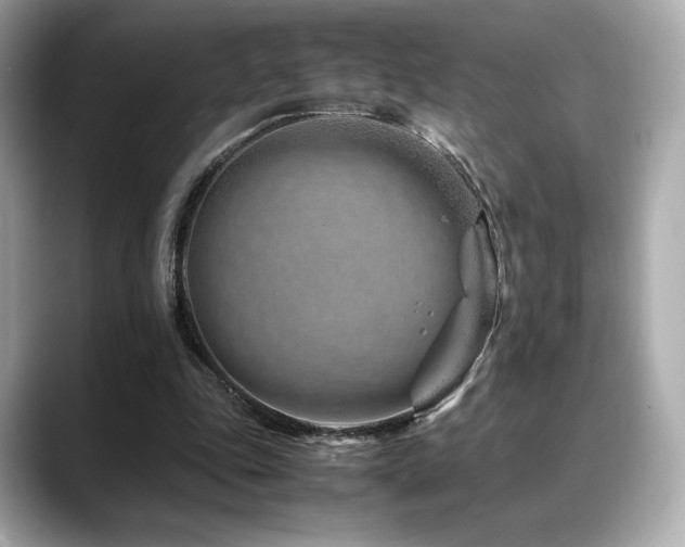 X0000088700343200705311219