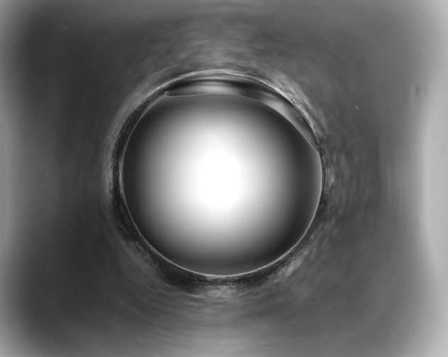 X0000088700344200705311219