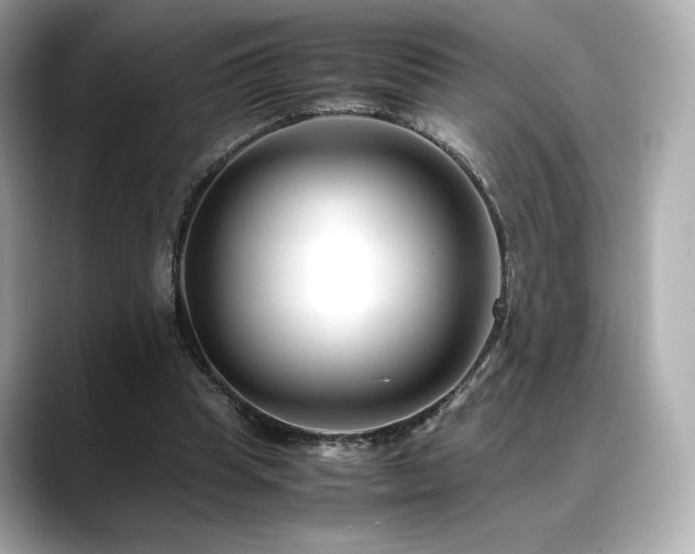 X0000088700345200705311219