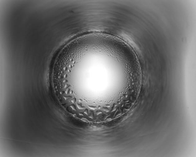 X0000088700346200705311219