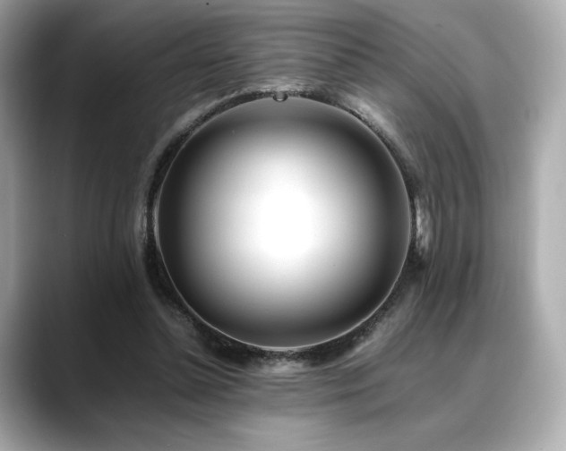 X0000088700348200705311219