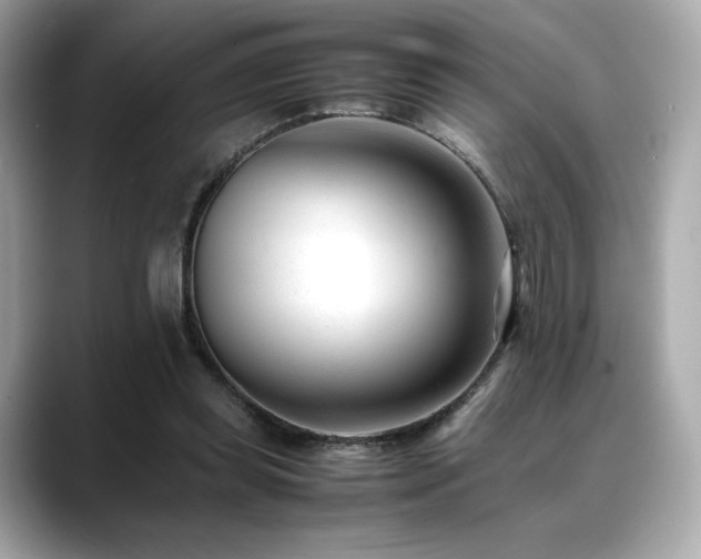 X0000088700349200705311219