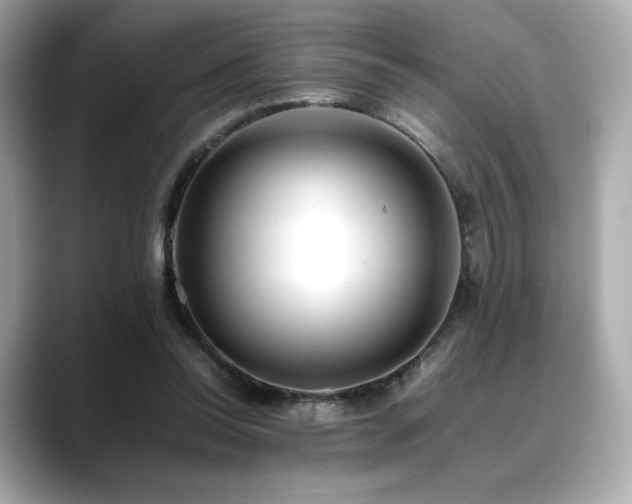 X0000088700350200705311219