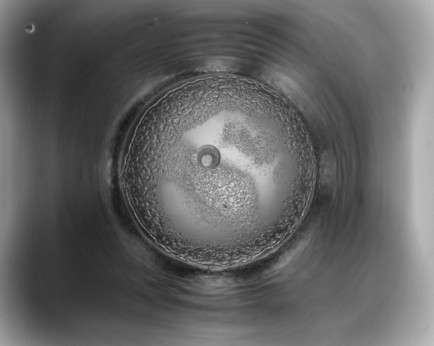 X0000088700351200705311219