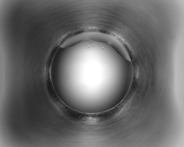 X0000088700352200705311219