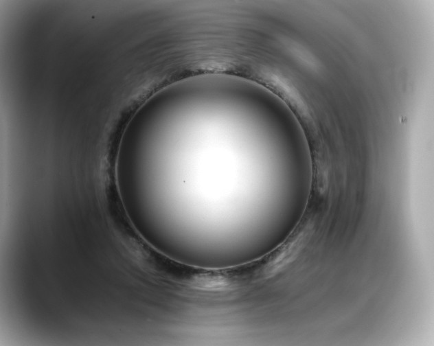 X0000088700354200705311219